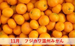 【ふるさと納税】みかん 定期便 5回 フルーツ フジカワ果樹園オリジナル（新季節の柑橘セット） 果物 詰合せ 　お届け：ご寄附（入金）下さった月の翌月より順次発送致します。