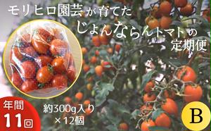 【ふるさと納税】モリヒロ園芸が育てたじょんならんトマトの定期便B 約300g×12個入り（年間11回）　【定期便・宇多津町】　お届け：ご寄附（入金）頂いた月の翌月回より年間スタート致します