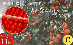 【ふるさと納税】モリヒロ園芸が育てたじょんならんトマトの定期便C ギフトボックス入り（年間11回）　【定期便・宇多津町】　お届け：ご寄附（入金）頂いた月の翌月回より年間スタート致します