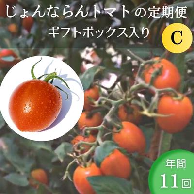 【ふるさと納税】モリヒロ園芸が育てたじょんならんトマトの定期便C ギフトボックス入り（年間11回）　..