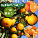 【ふるさと納税】【9回頒布会】フジカワ果樹園オリジナル・新季