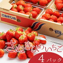 【ふるさと納税】さぬき姫いちご 4パック(1パック約250g) お届け:2026年1月中旬~2026年4月下旬