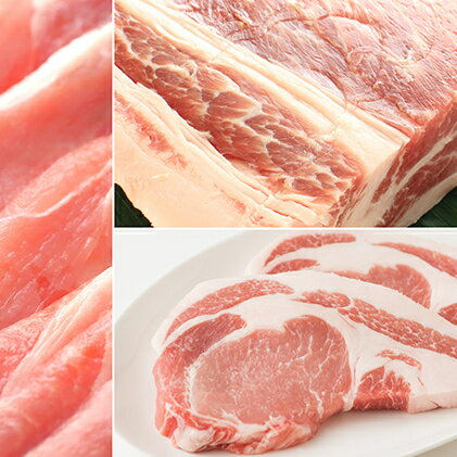 【ふるさと納税】讃岐もち豚 ローススライス1kg・ブロック4kgセット　【お肉・豚肉】