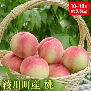 【ふるさと納税】綾川町産　桃 約3.5kg　【果物・もも・桃・フルーツ・モモ・果肉】　お届け：2024年6月下旬～7月中旬※状況によって希望通りお届けできない場合もあります。