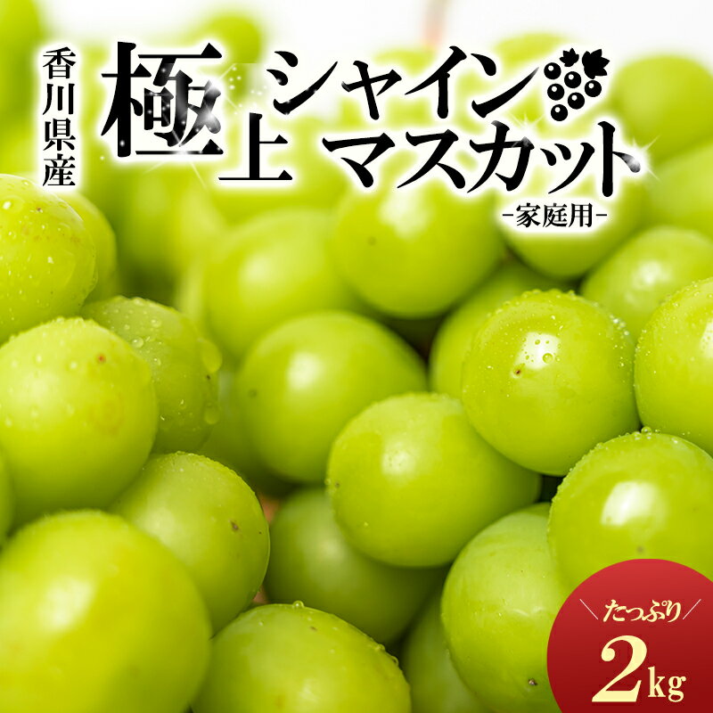 【ふるさと納税】綾川町産　シャインマスカット　たっぷり約2kg　【果物・ぶどう・フルーツ・2kg・葡萄・シャインマスカット・マスカット・種なし】　お届け：2024年8月下旬～10月上旬頃※状況によって希望通りお届けできない場合もあります。