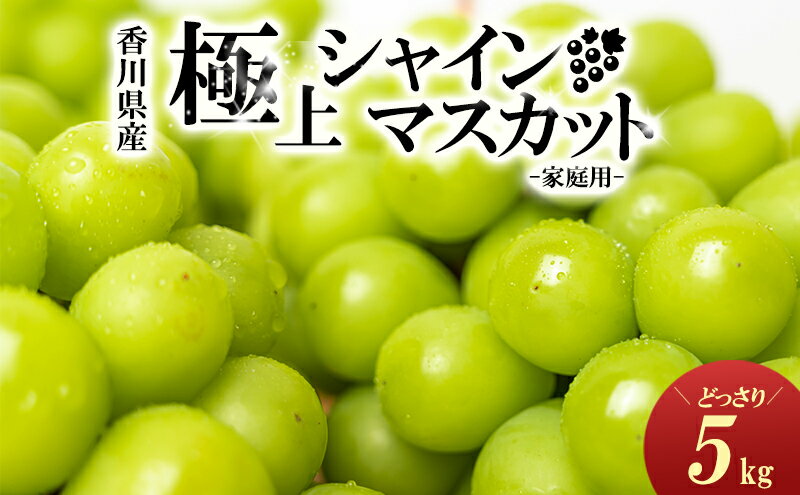 【ふるさと納税】[No.5911-0093【ご家庭用】極上シャインマスカット　どっさり約5kg　【果物・ぶどう・フルーツ・5kg・葡萄・シャインマスカット・マスカット・種なし】　お届け：2024年8月下旬～10月上旬頃※状況によって希望通りお届けできない場合もあります。 2