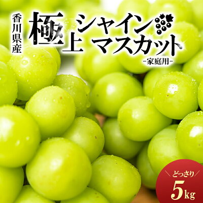 楽天ふるさと納税　【ふるさと納税】[No.5911-0093【ご家庭用】極上シャインマスカット　どっさり約5kg　【果物・ぶどう・フルーツ・5kg・葡萄・シャインマスカット・マスカット・種なし】　お届け：2024年8月下旬～10月上旬頃※状況によって希望通りお届けできない場合もあります。