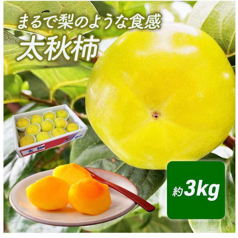 【ふるさと納税】まるで梨のような食感　太秋柿（たいしゅうがき） 果物類 先行予約 　お届け：2024年9月下旬～10月上旬頃のサムネイル