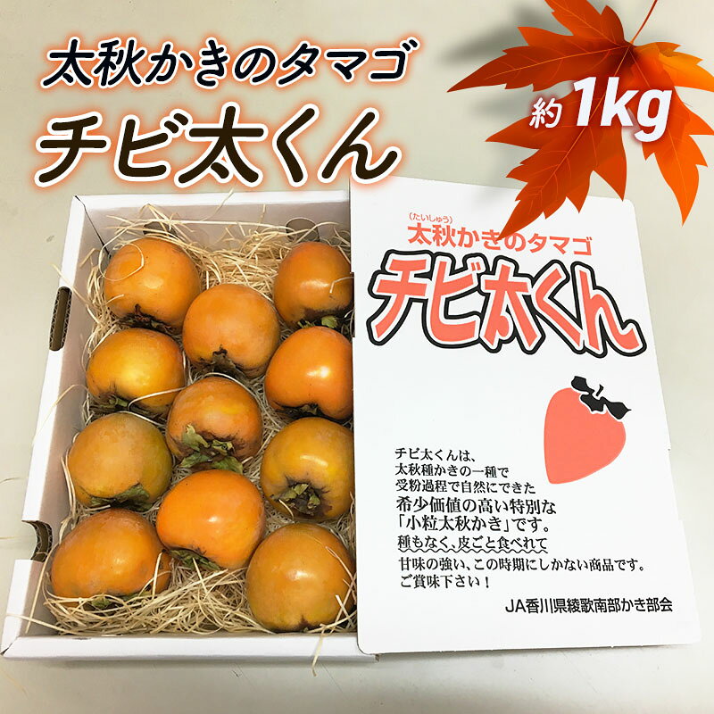太秋かきのタマゴ「チビ太くん」 果物類 お届け：2024年10月上旬～10月中旬頃