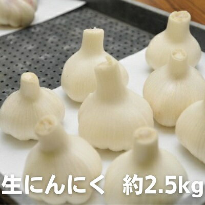 生にんにく 約2.5kg [野菜] お届け:2024年5月上旬〜6月上旬頃※状況によって希望通りお届けできない場合もあります。