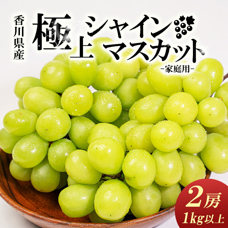 楽天ふるさと納税　【ふるさと納税】【ご家庭用】シャインマスカット　2房入り 1kg以上　讃岐産　【果物・ぶどう・フルーツ・葡萄・シャインマスカット・マスカット・種なし・2房入り】　お届け：2024年8月下旬～10月上旬頃※状況によって希望通りお届けできない場合もあります。