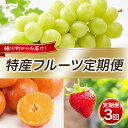 【ふるさと納税】特産 フルーツ 定期便 (年3回) 果物類 柑橘類 みかん いちご 苺 イチゴ ぶどう マスカット  お届け:年3回 寄附入金の翌対象月よりお届け開始