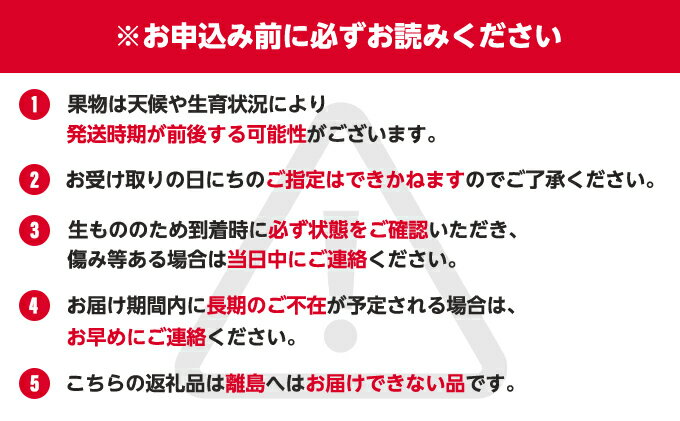 【ふるさと納税】特産 フルーツ 定期便(年6回...の紹介画像3