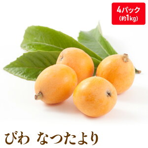 【ふるさと納税】なつたより（びわ）4パック入り(約1Kg)　【果物類・フルーツ・びわ・枇杷・ビワ】　お届け：2023年5月下旬〜6月中旬頃 ※状況によって希望通りお届けできない場合もあります。