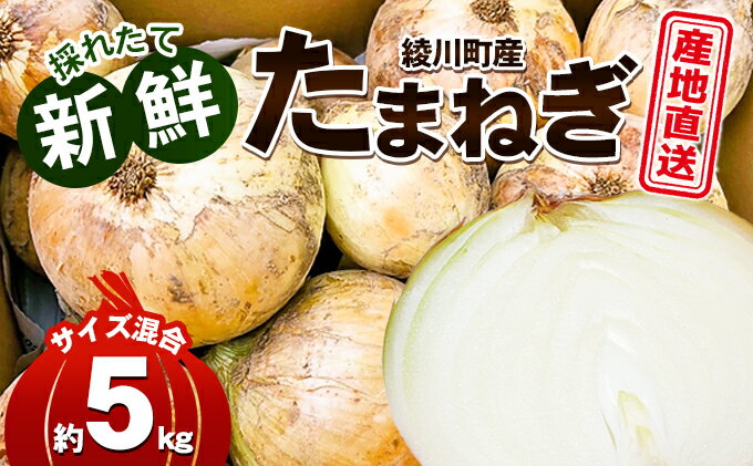 【ふるさと納税】新鮮採れたて綾川町産 たまねぎサイズ混合約5kg　【野菜・ねぎ・玉ねぎ・たまねぎ・5キロ・サラダ・炒め物・煮物】　お届け：2024年5月上旬～7月上旬まで