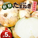 24位! 口コミ数「0件」評価「0」新鮮採れたて綾川町産 たまねぎサイズ混合約5kg　【野菜・ねぎ・玉ねぎ・たまねぎ・5キロ・サラダ・炒め物・煮物】　お届け：2024年5月上旬･･･ 