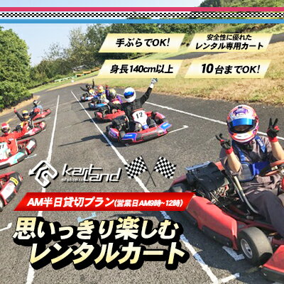 思いっきり楽しむレンタルカート　AM半日貸切プラン(営業日AM9時～12時　10台まで)　【 体験 チケット レジャー レンタルカート サーキット レーシング カート 大人 子供 最高速度60～70km カートランド四国 】