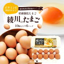 名称鶏卵内容量綾川のたまご（10個入り）6パック入り産地香川県賞味期限別途ラベルに記載保存方法冷蔵庫(10℃以下)で保存してください。選別包装者(有)高島産業 綾上高原農場 綾上GP香川県綾歌郡綾川町枌所東450事業者有限会社高島産業配送方法冷蔵配送備考※画像はイメージです。 ※ビタミンEの含有量は定期的に第三者機関で検査測定を行っております。しかし、鶏卵は生鮮食品ですので、個体差などによってビタミンEの含有量が表示されている値より増減している場合があります。 ※記載の賞味期限は生で食べる場合の期限です。 ※年末年始12月27日～1月4日の期間は発送できません。予めご了承ください。 ・ふるさと納税よくある質問はこちら ・寄附申込みのキャンセル、返礼品の変更・返品はできません。あらかじめご了承ください。【ふるさと納税】綾川のたまご（10個入り）6パック入り　【 食品 栄養 自然 澄んだ空気 きれいな水 ビタミンE 豊富 飼料 健康 生鮮食品 】 「綾川のたまご」のふるさとは、香川県の中央に位置し南方に讃岐山脈が広がる自然豊かな綾川町にあり ます。讃岐最高峰の竜王山から流れてくる綾川に隣接し、満点の星空が見える澄んだ空気ときれいな水、そしてビタミンEが豊富な飼料で育った健康な鶏が産卵した「綾川のたまご」を、是非ご賞味下さい。 寄附金の用途について 自然環境保護・保全に関する事業 福祉の向上に関する事業 子育て支援に関する事業 学校教育の振興に関する事業 安全で安心できる生活環境の向上に関する事業 指定しない 受領証明書及びワンストップ特例申請書のお届けについて 【受領証明書】 受領証明書は、ご入金確認後、注文内容確認画面の【注文者情報】に記載の住所にお送りいたします。発送の時期は、寄附確認後1～2週間程度を目途に、お礼の特産品とは別にお送りいたします。 【ワンストップ特例申請書について】 ワンストップ特例をご利用される場合、1月10日までに申請書が当庁まで届くように発送ください。 マイナンバーに関する添付書類に漏れのないようご注意ください。 申請書のダウンロードはこちら