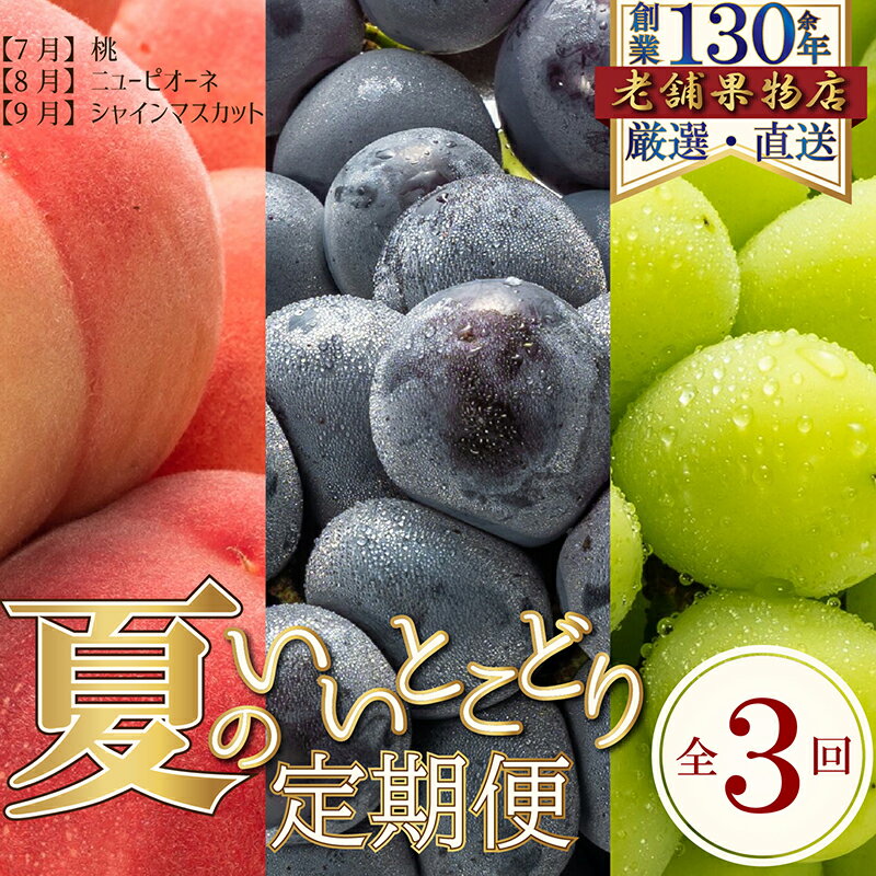 【ふるさと納税】【全3回】夏のいいとこどり定期便(7・8・9月発送)