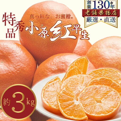 【ふるさと納税】特秀品!真っ赤なお蜜柑「小原紅早生」 約3kg お届け:2025年11月15日~2026年1月31日 【ふるさと納税】特秀品!真っ赤なお蜜柑「小原紅早生」 約3kg お届け:2025年11月15日~2026年1月31日