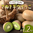 【ふるさと納税】【先行予約】《2025年11月~2026年2月頃お届け》 こつぶでちゅるん さぬきキウイっこ 約1.2kg 一口サイズ 香川 四国 フルーツ 果物 くだもの キウイ キュウイ 果実 フルーツ 旬 香川県 香川県共通返礼品 F5J-1023