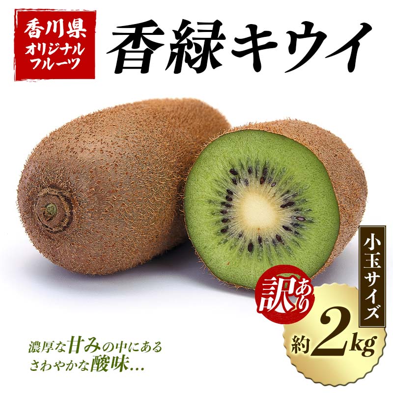 【ふるさと納税】【先行予約2025年12月〜2026年3月頃お届け】訳あり香緑キウイ (小玉サイズ) (約2kg) フルーツ 果物 くだもの キウイ 香緑 小玉...