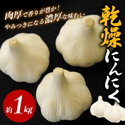 【先行予約】乾燥にんにく約1kg（2024年6月下旬より順次発送）にんにく ニンニク ガーリック 乾燥 食品 名産 四国 F5J-364