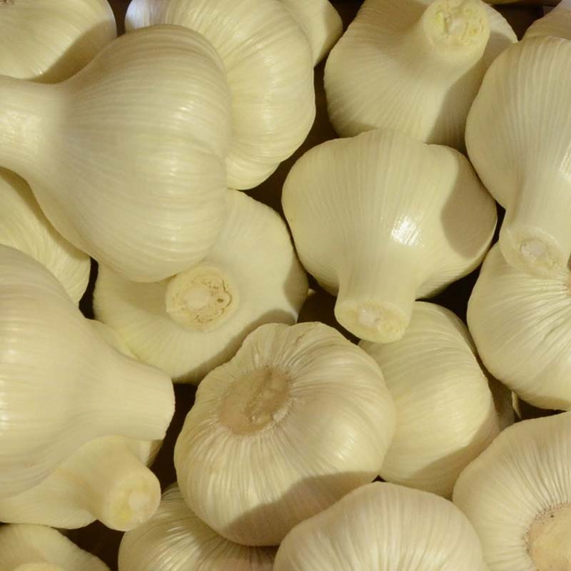 【ふるさと納税】乾燥にんにく約1kg にんにく ニンニク ガーリック 乾燥 食品 名産 四国 F5J-918