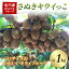【ふるさと納税】【先行予約】さぬきキウイっこ 約1kg（2024年11月下旬より順次発送）フルーツ 果物 くだもの キウイ さぬき キウイっこ 一口サイズ キウイフルーツ デザート 食品 名産 オリジナル品種 希少 四国 F5J-372
