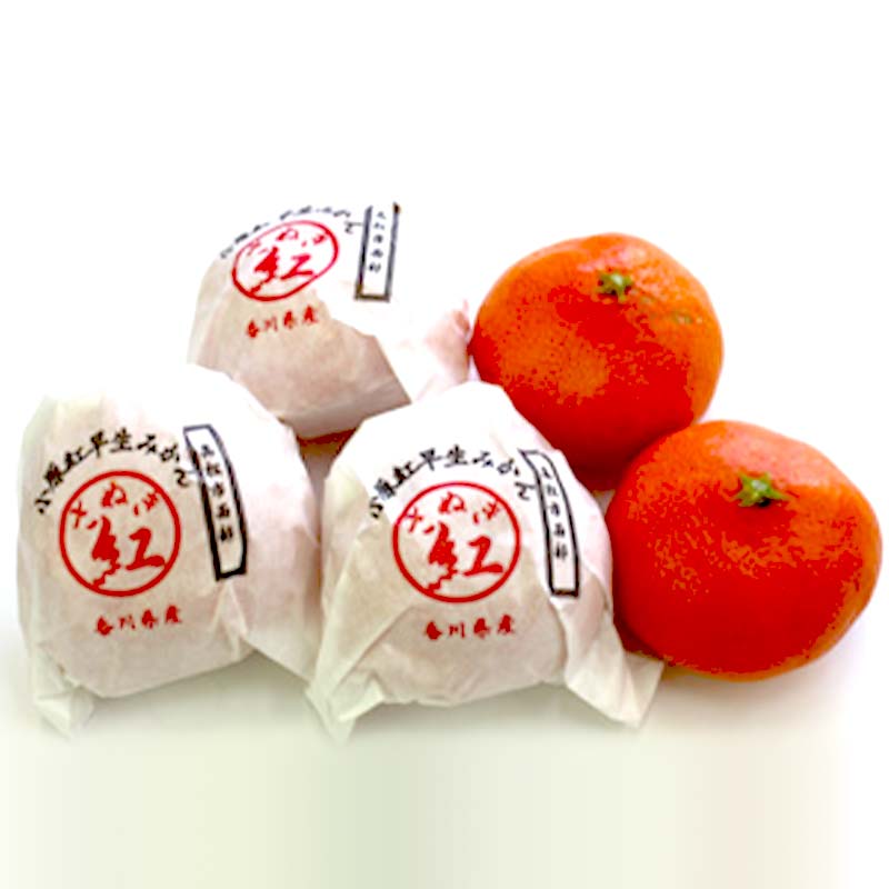 【ふるさと納税】【先行予約2026年1月～2026年2月頃お届け】 越冬小原紅早生みかん (個包装) 約1.5kg みかん 果物 くだもの フルーツ デザート 個包装 越冬 早生 オリジナル品種 食品 名産 四国 F5J-666