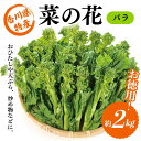 【ふるさと納税】【先行予約2025年12月~2026年3月頃お届け】 菜の花 バラ (約2kg) なの花 菜の花 おひたし 天ぷら 炒め物 春 野菜 食品 名産 四国 F5J-926