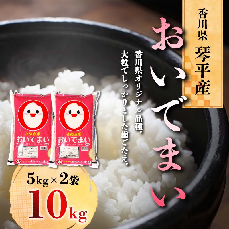 令和5年度産 香川県琴平産おいでまい 5kg×2 米 精米 おいでまい さぬき米 5kg セット ギフト 贈り物 四国 新米 F5J-425