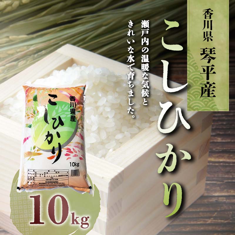 【ふるさと納税】《レビューキャンペーン》令和5年度産 香川県琴平産コシヒカリ 10kg 米 精米 おいでまい さぬき米 5kg セット ギフト 贈り物 四国 新米 F5J-426