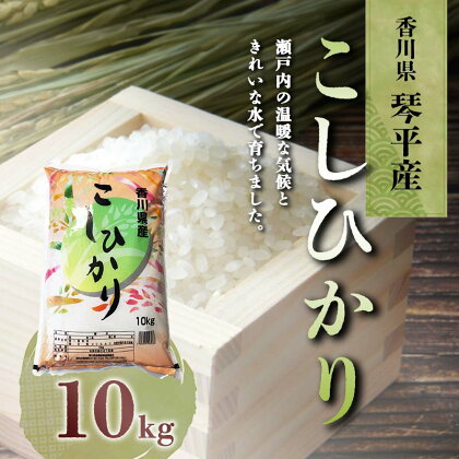 令和5年度産 香川県琴平産コシヒカリ 10kg 米 精米 おいでまい さぬき米 5kg セット ギフト 贈り物 四国 新米 F5J-426