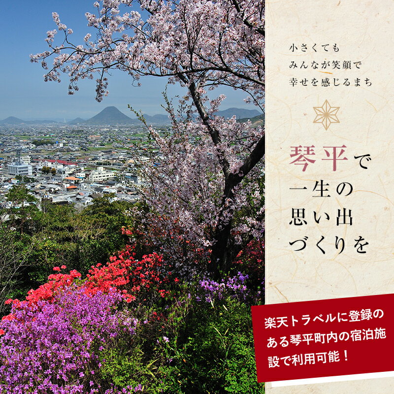 【ふるさと納税】香川県琴平町の対象施設で使える楽天トラベルクーポン 寄付額200,000円 旅行券 旅行クーポン 楽天 楽天トラベル クーポン トラベルクーポン 宿泊 ホテル 旅館 観光 旅行 旅 トラベル レジャー 四国 F5J-392