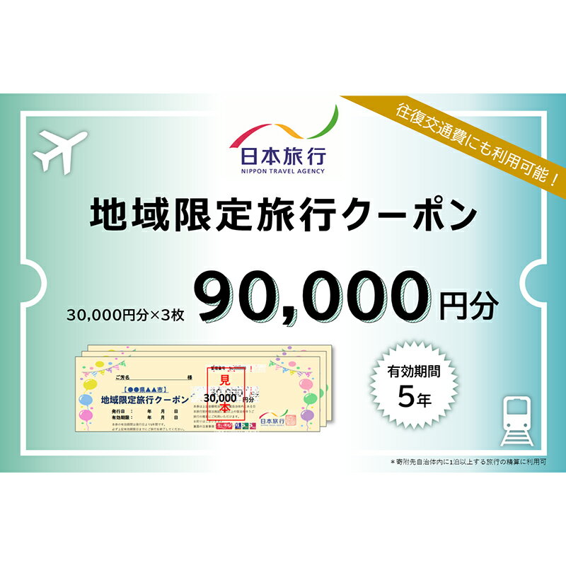 【ふるさと納税】日本旅行 地域限定旅行クーポン (90,000円分) 旅行 宿泊 ホテル 旅館 トラベル クーポン チケット 観光 レジャー 四国 F5J-409