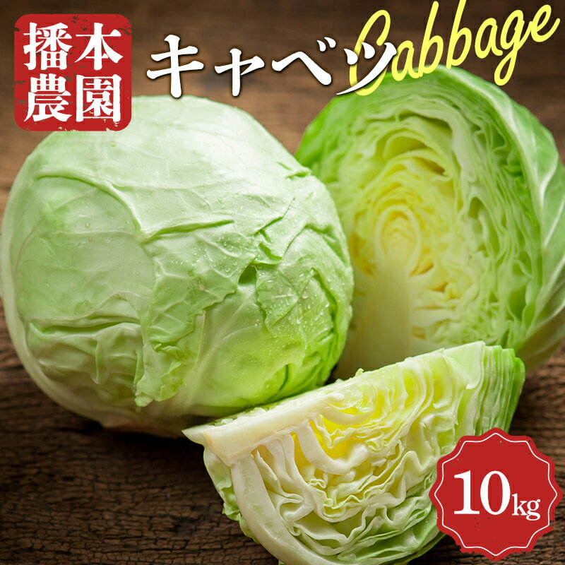 楽天市場】キャベツ(総重量(野菜)10.0 ~ 10.9kg)(野菜 楽天市場】キャベツ(総重量(野菜)10.0 ~ 10.9kg)(野菜