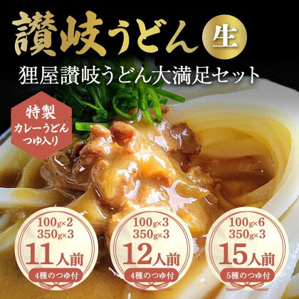 特製カレーうどんつゆ入り 狸屋讃岐うどん大満足セット 詰合せ 生うどん カレー つゆ うどん 本場 讃岐 讃岐うどん さぬきうどん ご当地 グルメ 名産品 食品 四国 F5J-442var