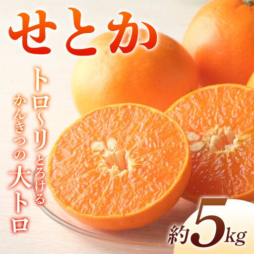 【ふるさと納税】【先行予約】《2026年2月上旬~3月中旬頃お届け》 みかん せとか 約5kg トロ~リとろけるかんきつの大トロ 柑橘 完熟 みかん ミカン 果物 フルーツ くだもの 国産 せとか フルーツ 旬 果物 香川県三豊市共通返礼品 F5J-538 【ふるさと納税】【先行予約】《2026年2月上旬~3月中旬頃お届け》 みかん せとか 約5kg トロ~リとろけるかんきつの大トロ 柑橘 完熟 みかん ミカン 果物 フルーツ くだもの 国産 せとか フルーツ 旬 果物 香川県三豊市共通返礼品 F5J-538