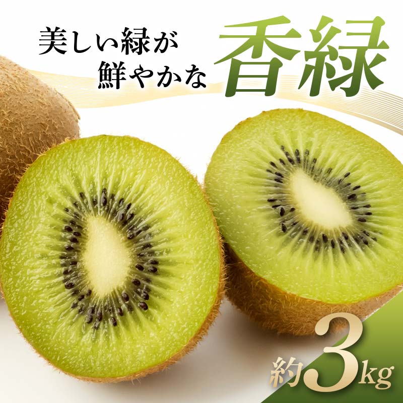 【ふるさと納税】【旬な時期にお届けします！11月下旬～12月下旬 】 キウイ 美しい緑が鮮やかな 香緑 こうりょく 約3kg 国産 香川 果物 キュウイ キューイ フルーツ 旬 香川県 香川県共通返礼品 F5J-541のサムネイル