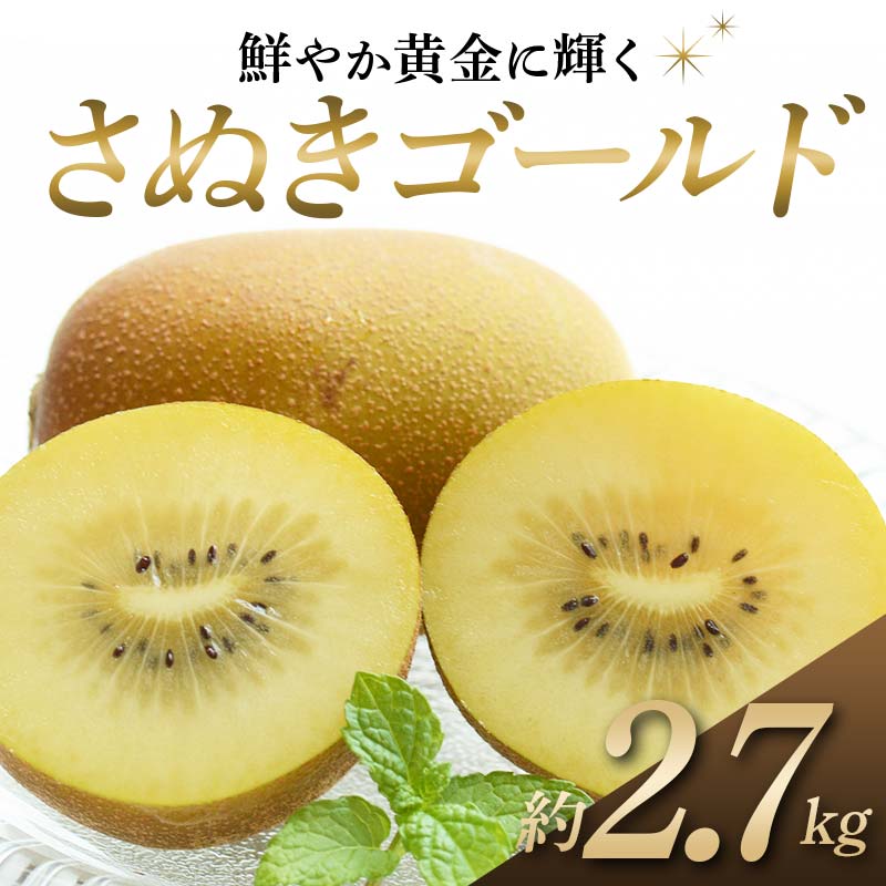 【ふるさと納税】【旬な時期にお届けします！10月中旬～11月中旬 】 キウイ さぬきゴールド 鮮やか黄金に輝く ゴールドキウイ 約2.7kg 香川県産 大粒キウイ キウイフルーツ ゴールデンキウイ フルーツ 果物 くだもの 旬のフルーツ 旬の果物 香川 香川県共通返礼品 F5J-543のサムネイル