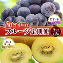 【ふるさと納税】【フルーツ定期便 2回】 《ピオーネからスタート》 Aセット ピオーネ 約1.2kg さぬきゴールド 約2.7kg ぶどう キウイ キウイフルー...