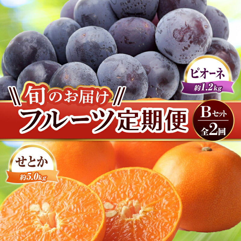 【ふるさと納税】【旬のお届け フルーツ定期便 2回】Bセット ピオーネ 約1.2kg せとか 約5.0kg ぶどう みかん 旬 フルーツ 果物 国産 香川県 F5J-780