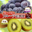 【ふるさと納税】【フルーツ定期便 2回】 《ピオーネからスタート》 Dセット ピオーネ 約1.2kg 香緑 約3kg ぶどう キウイ キウイフルーツ 旬 果物 ...