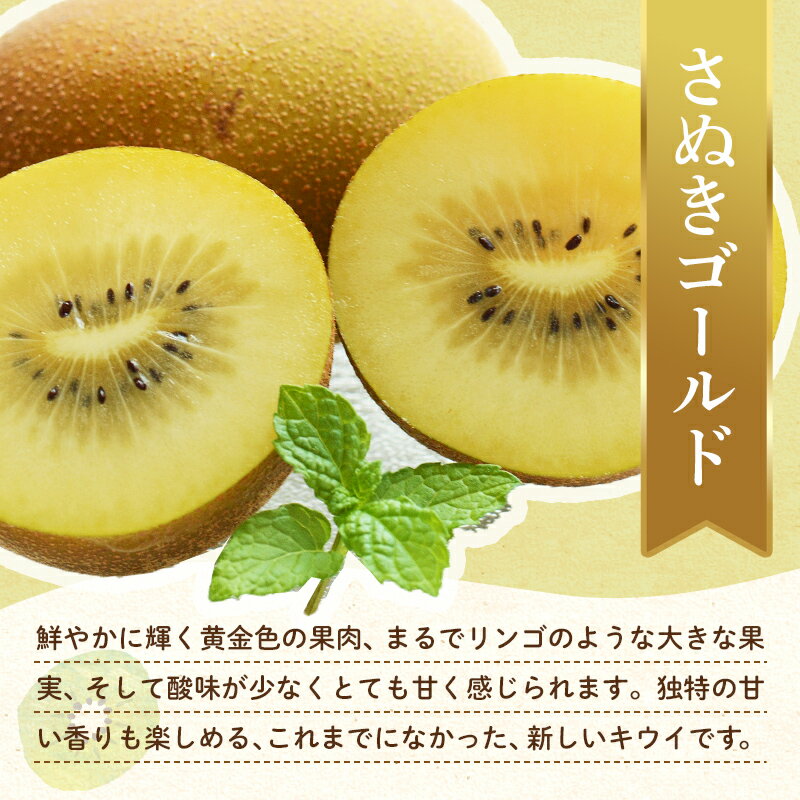 【ふるさと納税】【旬のお届け フルーツ定期便 2回】Hセット さぬきゴールド 約2.7kg デコポン約5.0kg キウイ みかん 旬 フルーツ 果物 国産 香川県 F5J-786