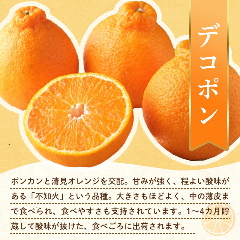 【ふるさと納税】【旬のお届け フルーツ定期便 2回】Hセット さぬきゴールド 約2.7kg デコポン約5.0kg キウイ みかん 旬 フルーツ 果物 国産 香川県 F5J-786