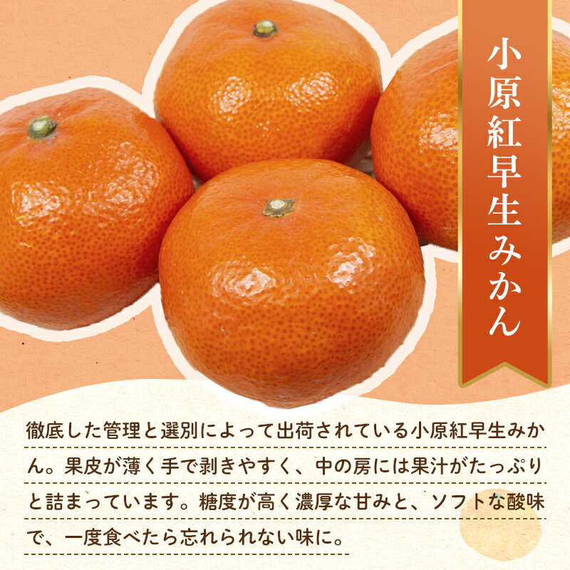 【ふるさと納税】【旬のお届け フルーツ定期便 2回】Jセット さぬきゴールド 約2.7kg 小原紅早生みかん 約4.5kg キウイ みかん 旬 フルーツ 果物 国産 香川県 F5J-788