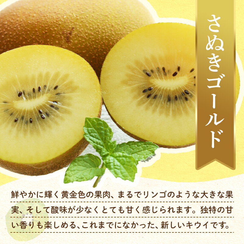 【ふるさと納税】【フルーツ定期便 2回】 《キウイっこからスタート》 Kセット さぬきゴールド 約2.7kg キウイっこ 約1.8kg キウイ キウイフルーツ 旬 果物 国産 香川県 フルーツ定期便 F5J-789