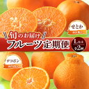 【ふるさと納税】【フルーツ定期便 2回】 《せとかからスタート》 Lセット せとか 約5kg デコポン 約5kg みかん 柑橘 旬 果物 国産 香川県 フルーツ...