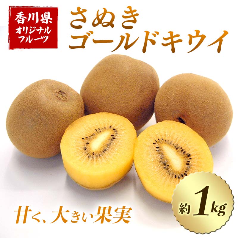 【ふるさと納税】【人気フルーツ定期便D 3回】 さぬきゴールド さぬきエンジェルスイートキウイ さぬきキウイっこ 各約1kg キウイ 旬 フルーツ 果物 国産 香川県 F5J-885